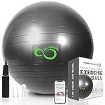 Exercise Ball (55cm-85cm) Extra Thick Professional Grade Balance & Stability Ball- Anti Burst Tested Supports 2200Lbs- Includes Hand Pump & Workout Guide Access (Dark Grey, 95 cm)