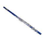 C Flute, Closed Hole 16 Keys Flute Instrument Students Flute Instrument with Flute Cleaning Kit, Gloves, Tuning Rod, Carrying Bag, Student Flute for Beginner