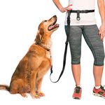 The Buddy System Adjustable Hands Free Dog Leash for Running, Jogging and Training Service Dogs Made in USA (Regular Belt 22"- 40" Waist), Black