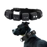 Walktime, Dog Collar, Tactical Dog Collar, Weighted Dog Collar with Weights for Dog Training and Exercise Equipment - Free Weights, Small, Medium, Large Dogs