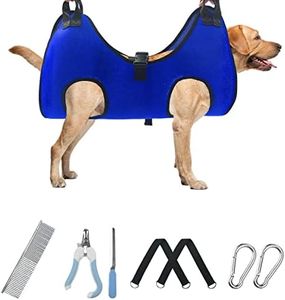 VBUY Pet D