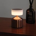 XERGY Metal Touch Control Table Lamp – Compact LED Night Light- USB Rechargeable, 500 mAh Battery, 3 Color Temperature, Modern Cordless Design Lamp for Bedroom, Desk, Study, or Travel