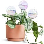 [3PCS] Light Iridescent Rainbow Gradient Color Clear Glass Self-Watering System Spikes, Aqua Globes Automatic Plant Waterer Bulbs