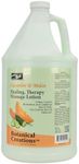 PRO NAIL - Healing Therapy Massage Lotion - Professional Pedicure, Body and Hot Oil Manicure, Infused with Natural Oils, Vitamins, Panthenol and Amino Acids (Cucumber and Melon, 1 Gallon)