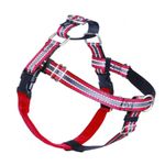 2 Hounds Design Freedom No-Pull Dog Harness with Leash, Reflective, Adjustable Comfortable Dog Harness with Front Clip for Everyday Walking, Made in USA (XSmall 5/8") (Reflective Red)