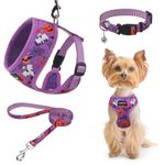 SCENEREAL Small Dog Harness Collar and Leash Set, Adjustable No Pull Pet Harnesses, No Chock Soft Mesh Step in Vest Halloween Costume for Doggie Puppy Dogs Cats Girl Boy Outdoor Walking