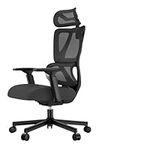 ProtoArc EC100 Ergonomic Office Chair – Computer Desk Chair for Work with 10cm Thicker Spring Cushion, Lumbar Support, Adjustable Armrest & Headrest, Swivel Mesh Chair for Home Office, Black