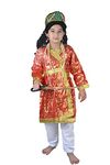 BookMyCostume Mughal Emperor Sultan with Wig & Sword Kids Fancy Dress Costume for Boys & Men 12-14 Years