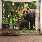 AMDXD Polyester Hanging Tapestry, Cute Brown Bear Hanging Wall Decor Living Room, Green Brown, 94" X 86" (240x220CM)