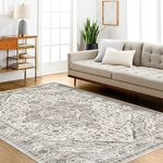 Deerly Large Area Rugs for Livingroom 120x170CM, Soft Low Pile Vintage Runner Machine Washable Area Rug for Livingroom Bedroom Hallway Entryway Runner Rug 120x170CM, CreamGreen