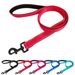 Beshine Padded Handle Dog Lead, 1.2m x 2cm Durable Reflective Nylon Dog Leash for Small, Medium Dogs, Red