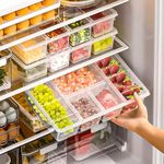 TEX-RO Fridge Storage Boxes, Fridge Organizer With 5 Compartment Fridge Organizer Keeps Fruits, Vegetables, Meat, Fish Fresh Longer (polypropylene)