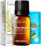 Gya Labs Pine Essential Oils for Diffuser - Fall Pine Oil Essential Oils - Pine Essential Oil for Massages, Candle Making, DIY - Fresh, Woodsy Scent - 100% Natural (10ml)