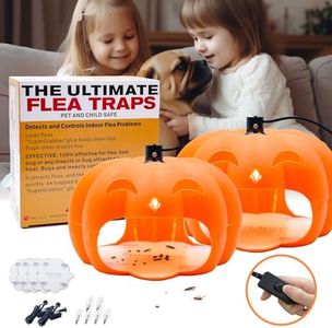 Flea Traps