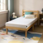ZINUS 5 Inch Green Tea Essential Memory Foam Twin Mattress Size, Bed-in-a-Box, Affordable Mattress, CertiPUR-US Certified