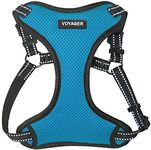 Best Pet Supplies Voyager Step-in Flex Dog Harness - All Weather Mesh, Step in Adjustable Harness for Small and Medium Dogs Turquoise, Small