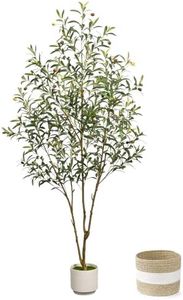 LuceAlberi