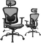 Marsail Ergonomic Mesh Office Chair