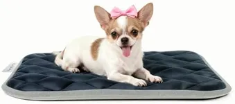 furrybaby Dog Bed Mat Crate Mat with Anti-Slip Bottom Machine Washable Pet Mattress for Dog Sleeping (S 24x18'', Sliver Grey Mat)