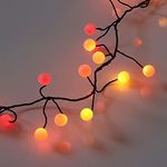 Qbis Premium LED Cluster Lights. Christmas Garland Fairy Lights. Red, Orange and Yellow. These Berry Cluster Lights are Perfect as Halloween Lights (240 LED Berry Sunset (Black Wire))