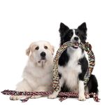 Terre Verte 2 Pack Dog Rope Toys for Large/Medium/Small Breeds, 3.6 Feet (44 in / 111 cm), Colourful Natural Cotton, Tug Dog Rope for Aggressive Chewers and Teeth Cleaning (Black/Red & Blue/Green)