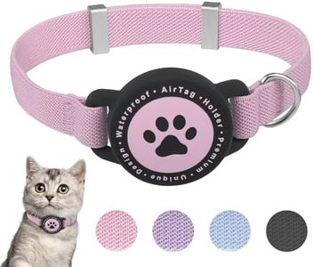 Airtag Cat