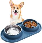 Dog Food Bowls Puppy Slow Feeder Non-Skid and Non-Spill Silicone Pads Dry Food Slow Eating Bowl Removable Stainless Steel Food and Water Dishes for Small Medium Dogs and Cats (Blue)