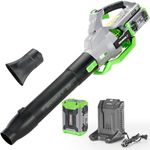 NovorikX Leaf Blower,60-Volt 810 CFM Brushless Electric Cordless Leaf Blower,5.0Ah Battery and Charger, Lightweight Leaf Blowers for Patio Care