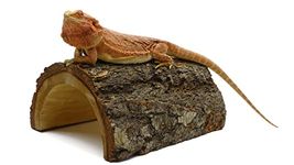 Carolina Giant Half Log, Reptile Habitat Accessory