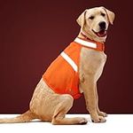 Dog Jacket High Visibility Safety R