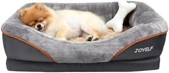 JOYELF Memory Foam Dog Bed Small Orthopedic Dog Bed & Sofa with Removable Washable Cover and Squeaker Toys as Gift
