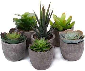T4U Piante Finte in Vasi, 6 Pezzi Mini Grasse Artificiali di Plastica, Succulento Fiore Finta con Vaso per Giardino da Interno e Esterno Colorito Decorazioni Casa Scrivania Cucina, 6.5cm