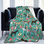 Horse Care Blankets