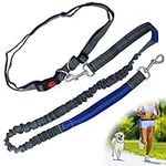 Zenify Hands Free Dog Lead for Runn