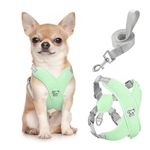 Pawaboo Dog Harness with Leash Set, X-Frame No Pull Pet Harness, Adjustable Choke Free Dog Vest Harness for Small Medium Dogs & Puppies, Breathable Puppy Vest with Leash for Outing, S, Mint Green