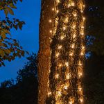 Outdoor Christmas Lights For Tree Trunk