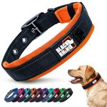 Black Rhino, The Comfort Collar, Dog Collar for All Breeds, Ultra Soft Neoprene Padded Collar, Sturdy, Adjustable, Reflective - Weather Resistant, Medium, Orange/Black