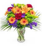 Joyful - Flowers - Next Day Prime Delivery - Lily La Orange bouquet surrounded by Germinis and Carnations - A Stunning Gift for Any Occasion - Brighten someone's day with flowers. (Large)