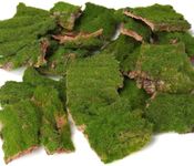 BYHER Assorted Artificial Moss Bark