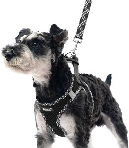 PUPTECK Step-in Dog Harness Small Dog No Pull Vest and Lead Set for Puppy Cats Outdoor Walking, Black M