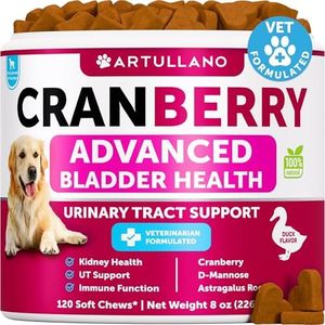 Dog UTI Treatment - Cranberry Supplement & Bladder Control for Dogs - Urinary Tract Infection Incontinence Pill, Bladder Stones - UTI Medicine Treats - 120 Soft Chews for Kidney Support with Fish Oil