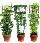 Garden Art Obelisk Trellis for Plant Support | Pack of 4 | 75 cm Tall