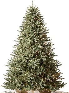 Balsam Hil
