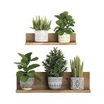 Green Potted Plant Wall Decal Waterproof Removable Bonsai Wallpaper Wall Sticker for Living Room Bedroom Offices Decoration