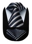 HISDERN Men's Formal Ties Striped Wedding Tie for Men Necktie & Pocket Square Set (Navy Blue & Gray)