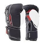Brave IV Boxing Gloves (14oz)