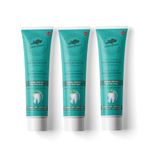 Green Beaver Anti-Cavity Hydroxyapatite Toothpaste - Enamel Protect, Fresh Mint - 3-Pack
