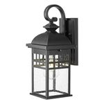 EMLIVIAR 15 Inch Modern Wall Lamp for Patio House, 1-Light Farmhouse Outdoor Porch Light, Seeded Glass with Black Finish, DE279B BK
