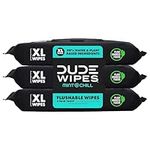 DUDE Wipes Flushable Wet Wipes Dispenser, Mint Chill, 48 Count (Pack of 3) Scented Wet Wipes with Vitamin-E, Aloe, Eucalyptus & Tea Tree Oils for at-Home Use, Septic and Sewer Safe