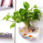 Vayinato Acrylic Wall Hanging Bowl for Fish and Indoor Water Plants 12 Inch White Colour Rust Resistant